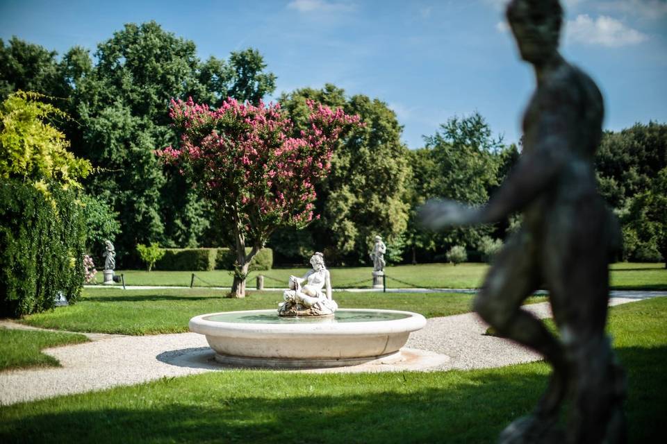Dettaglio del parco