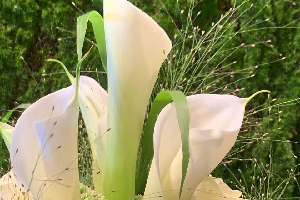 Bouquet