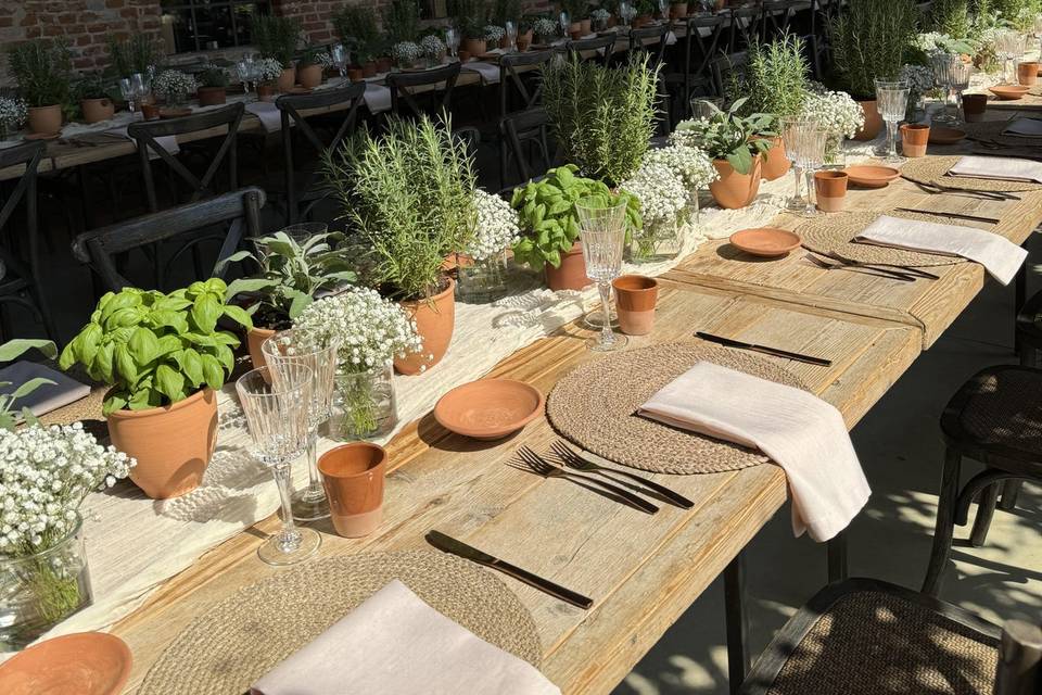 Piante aromatiche