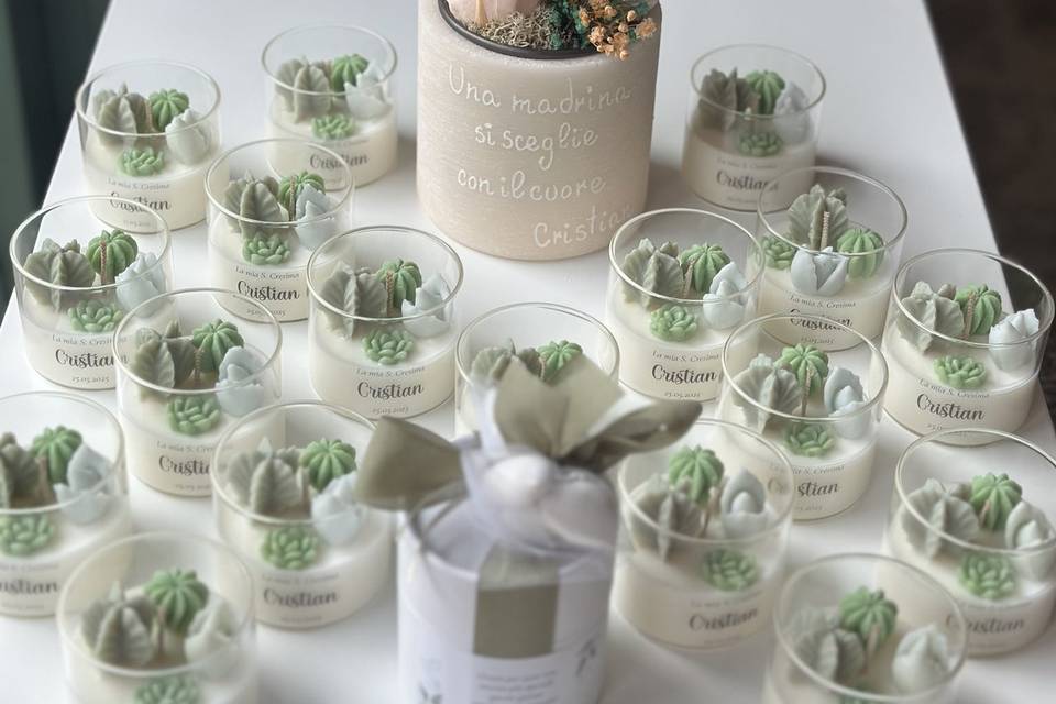 Bomboniere Succulente
