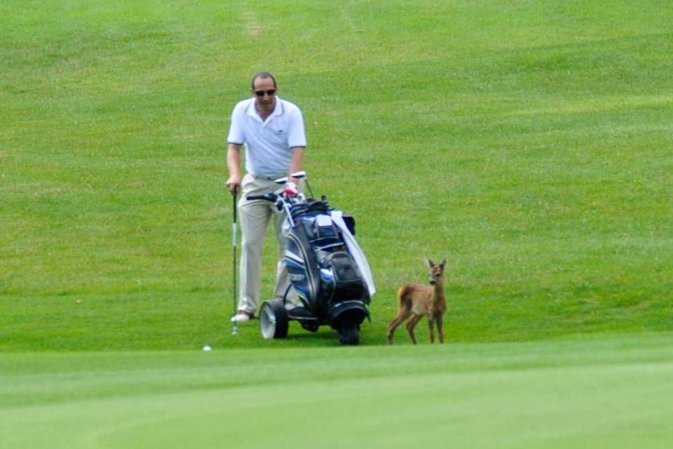 Incontri in campo