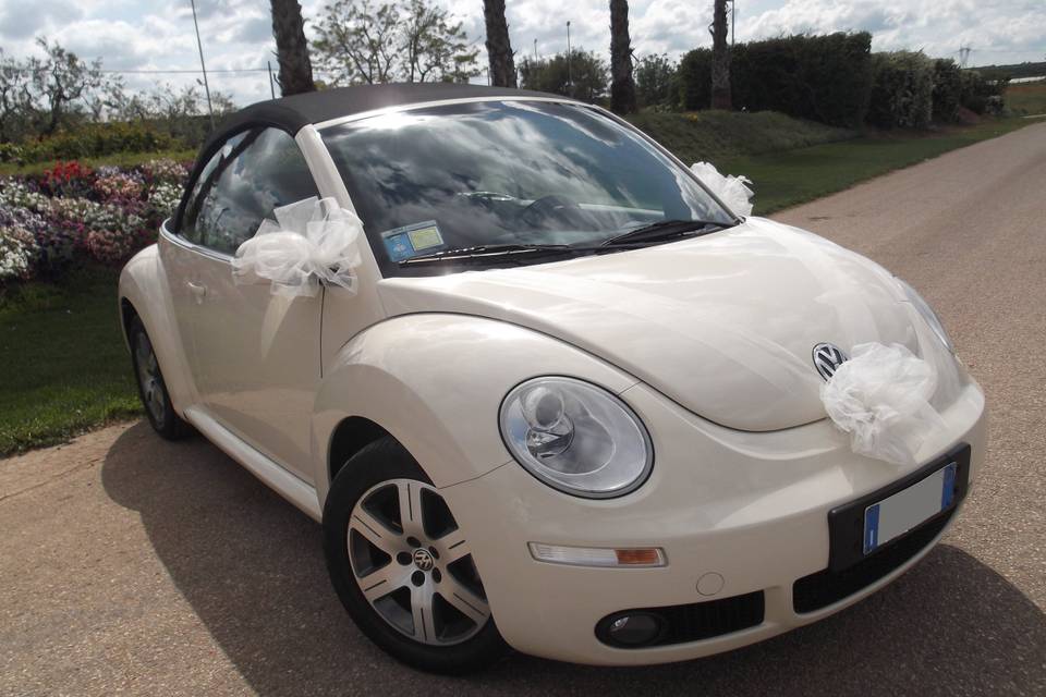 New Bettle cabrio