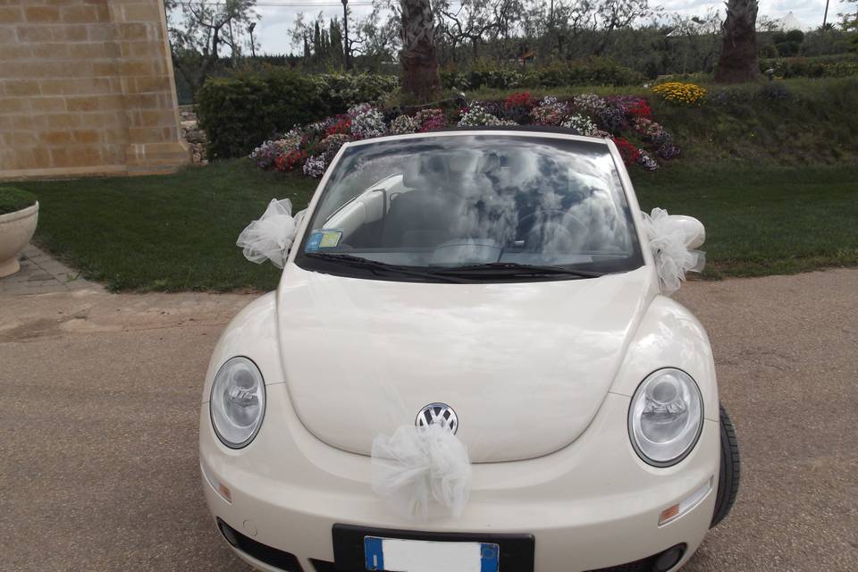 New Bettle cabrio