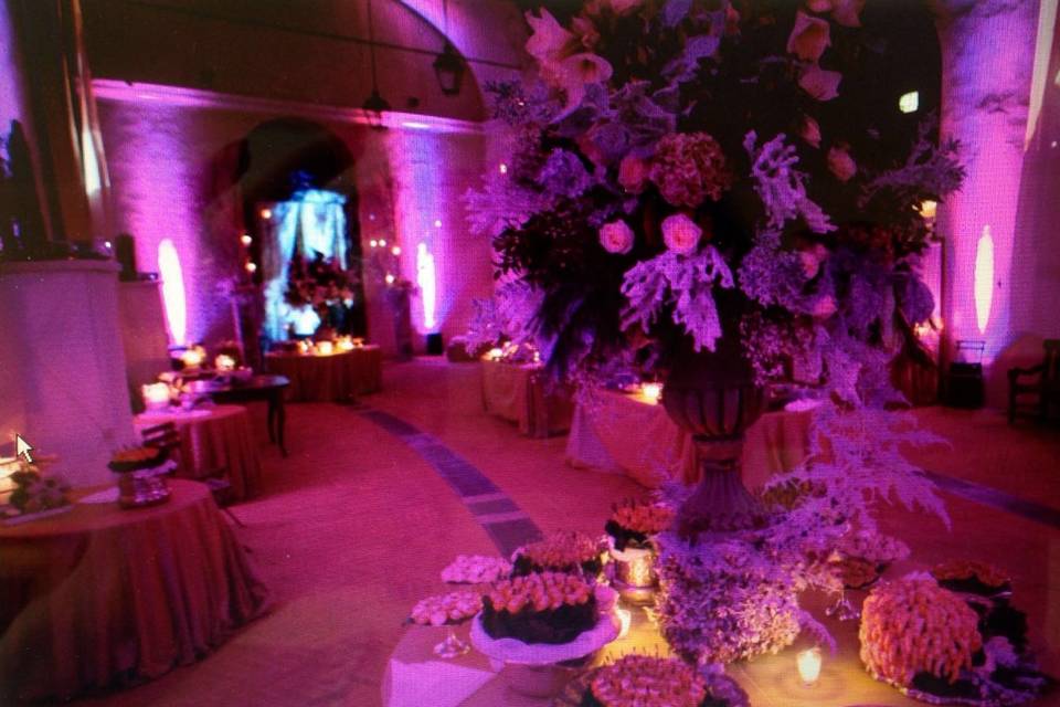 Rita Dell’Omo Weddings & Events