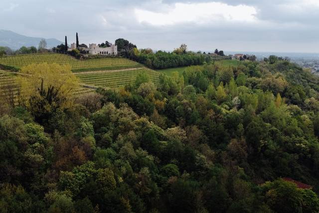 Panoramica