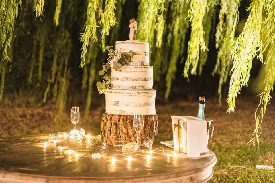 Wedding cake sotto il salice