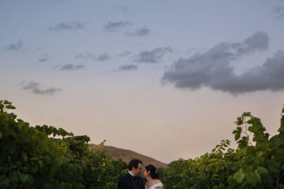 Tramonto tra le vigne
