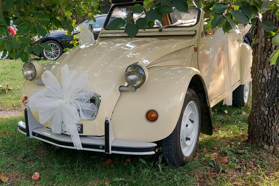 2cv