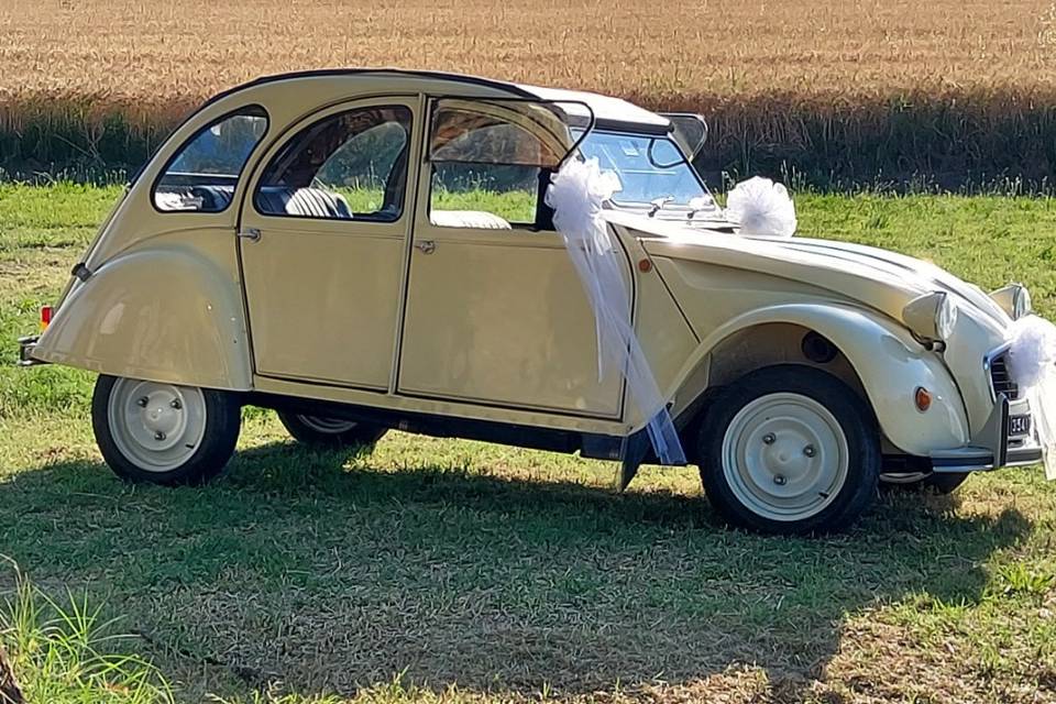 2cv