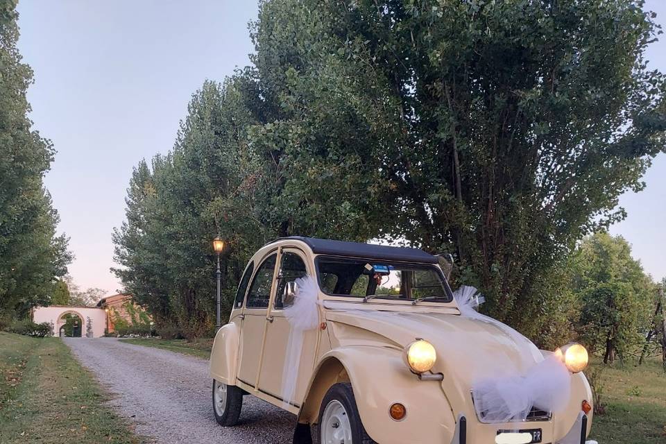 2cv