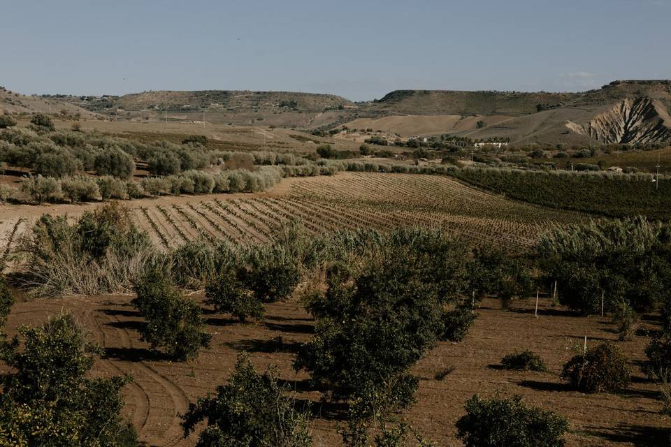Paesaggio