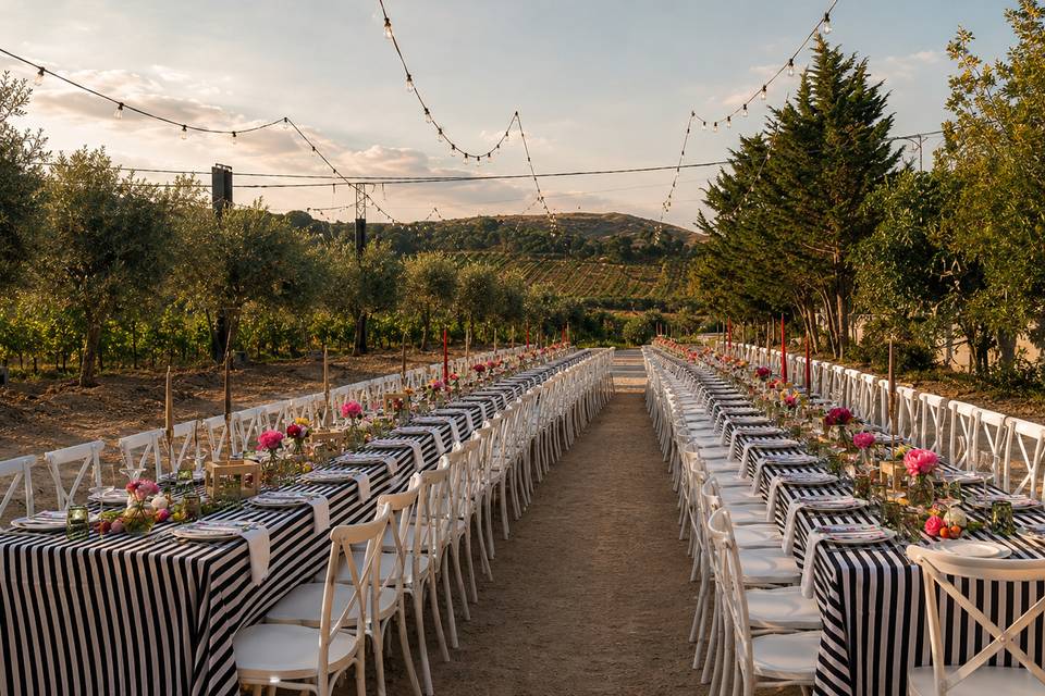 Cena in vigna