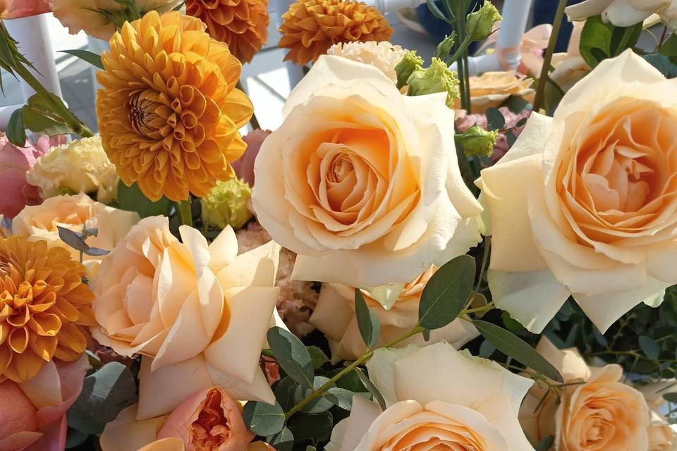 I fiori di Paola