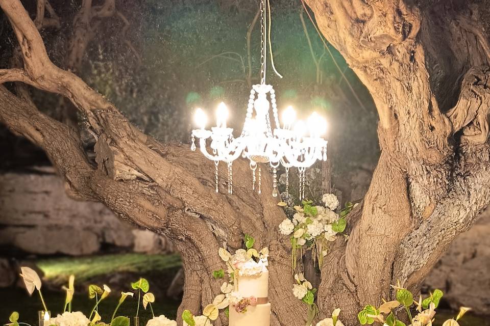 Allestimento Tavolo Torta