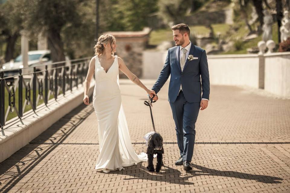 S&S Wedding Dog Care