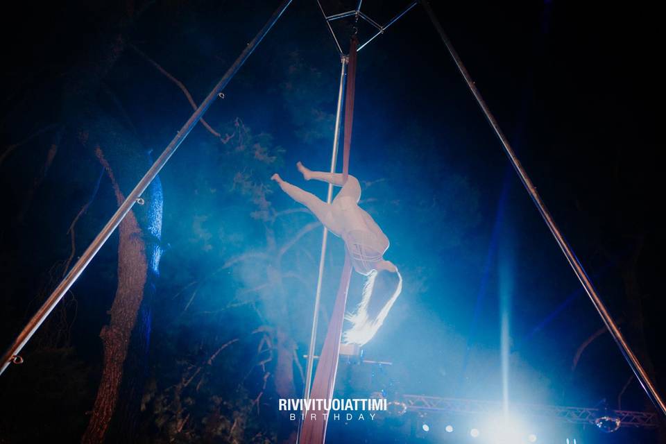 Arial dance show