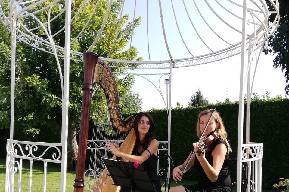 Arpa & violino