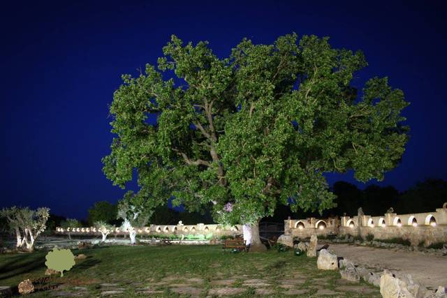 Nel verde