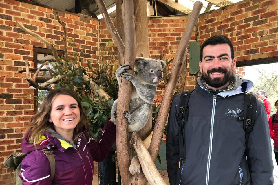 Viaggio di nozze in Australia