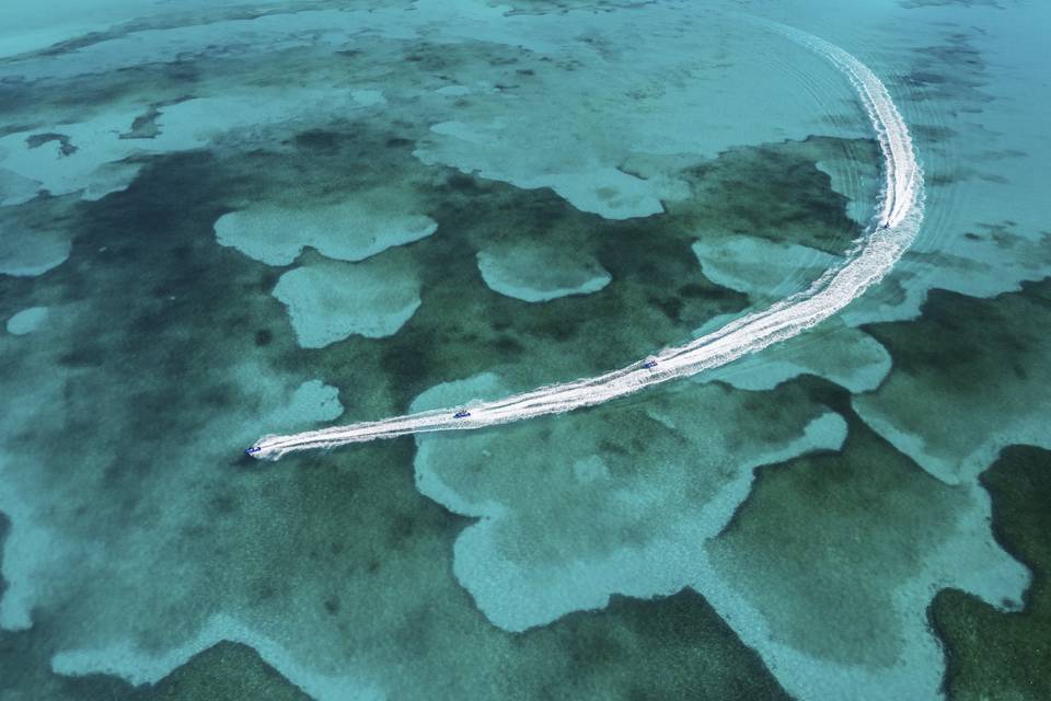 Ocean Cay Msc Marine Reserve