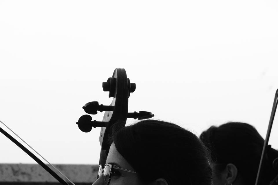 AM Strings