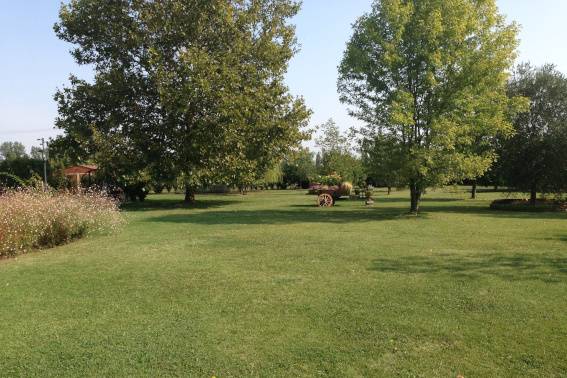 Il colore del parco