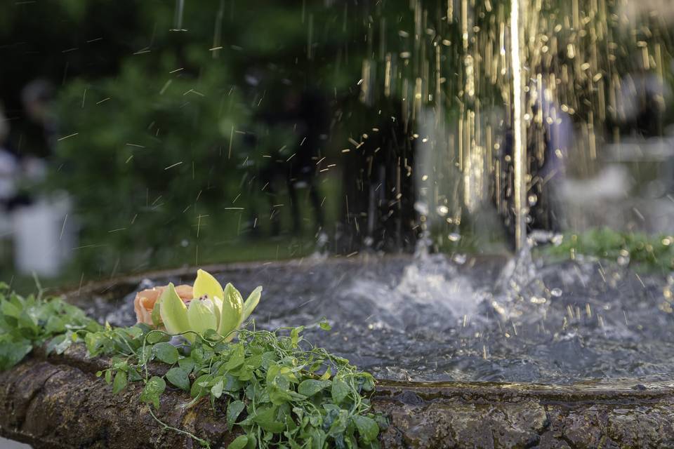 Fontana nel giardino