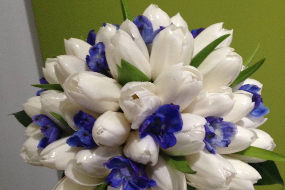 Tulipani e delphinium