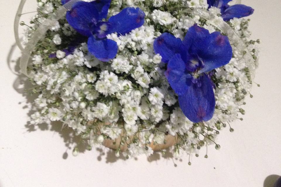 Tulipani e delphinium