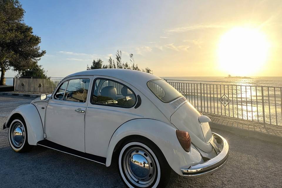 Maggiolino Volkswagen Messico