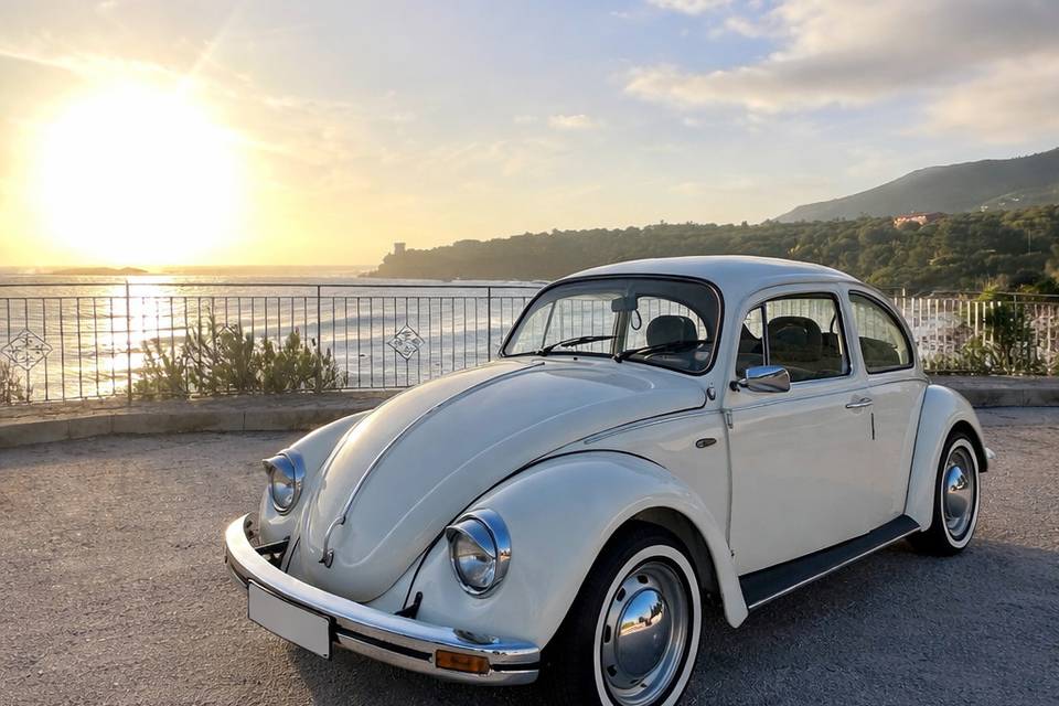 Maggiolino Volkswagen Messico