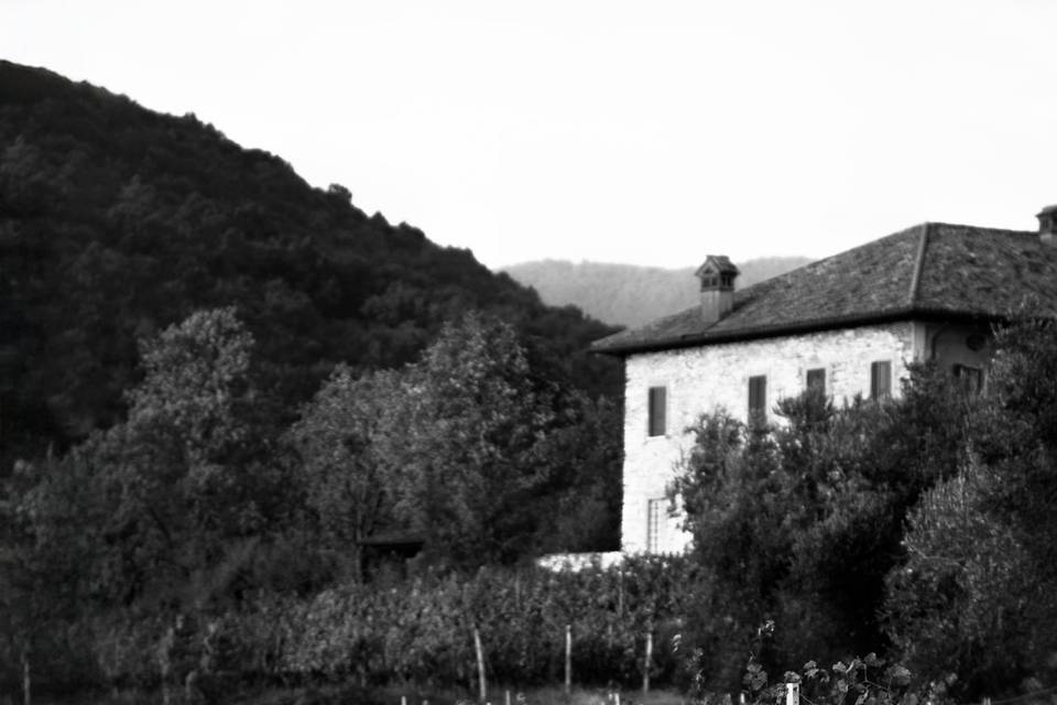 Matrimonio tra i vigneti