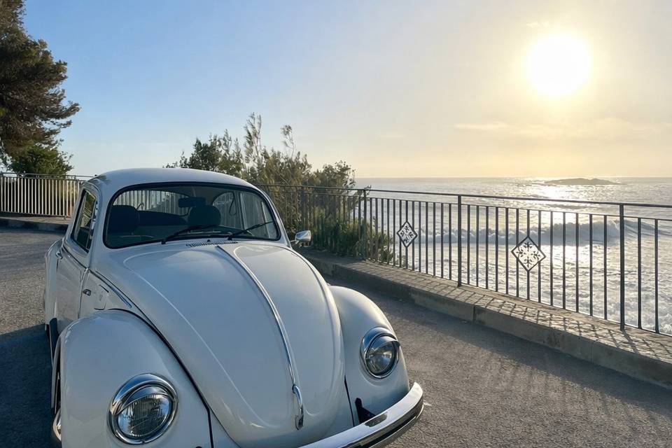 Maggiolino Volkswagen Messico