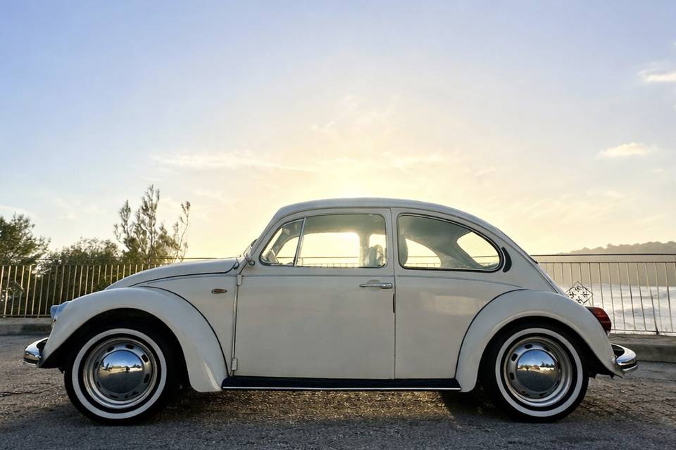 Maggiolino Volkswagen Messico