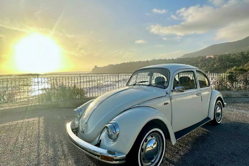 Maggiolino Volkswagen Messico