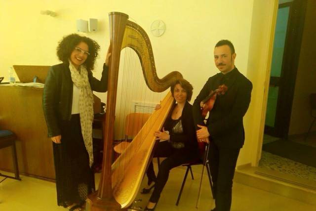 Voce, arpa e violino