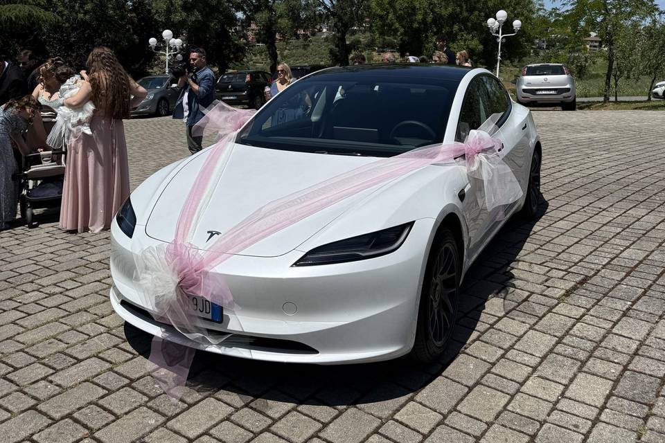 Anteriore con fiocchi 🎀