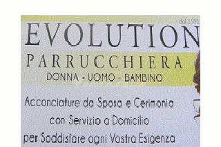 Evolution logo