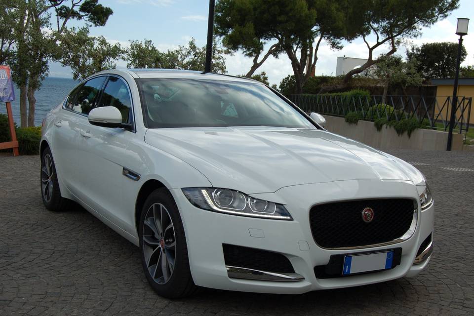 Jaguar xf