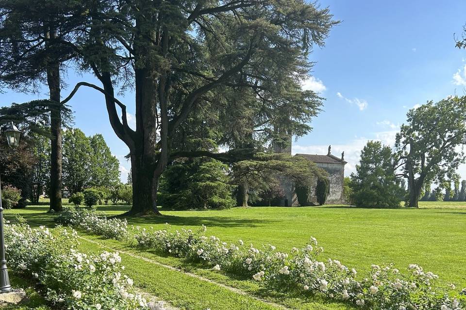 Il viale delle rose