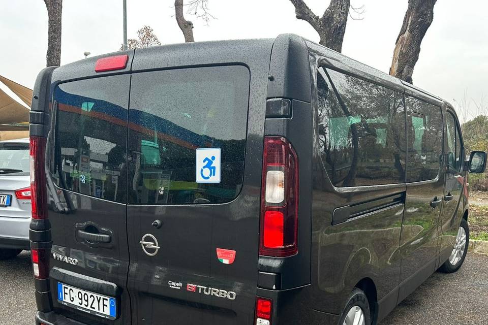 Mini bus con pedana