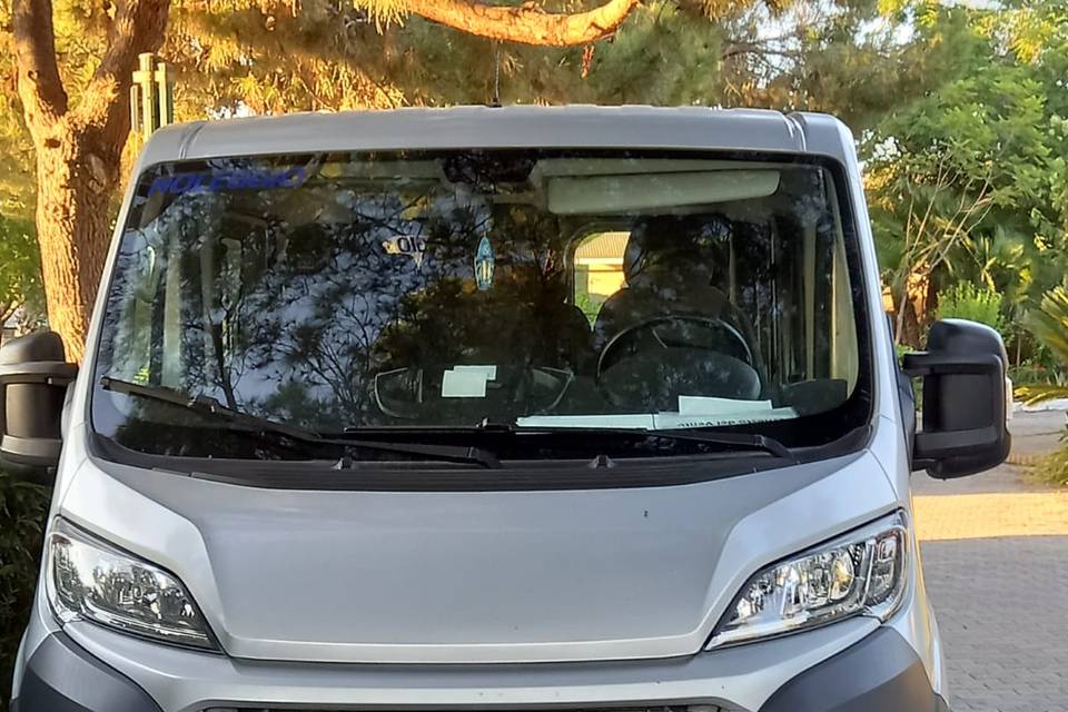 Mini bus 2