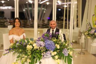 Deborah Comunale Photo