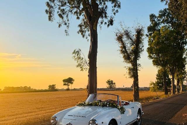ALFA ROMEO GIULIA SPIDER 1963