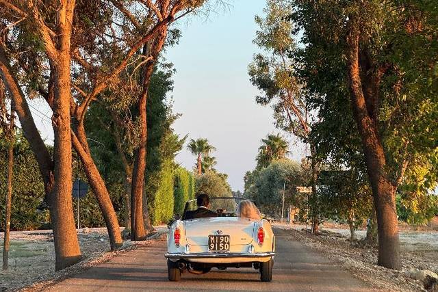 ALFA ROMEO GIULIA SPIDER 1963