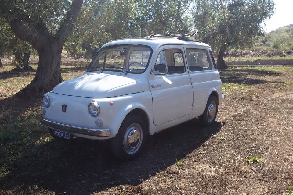 Fiat 500 familiare