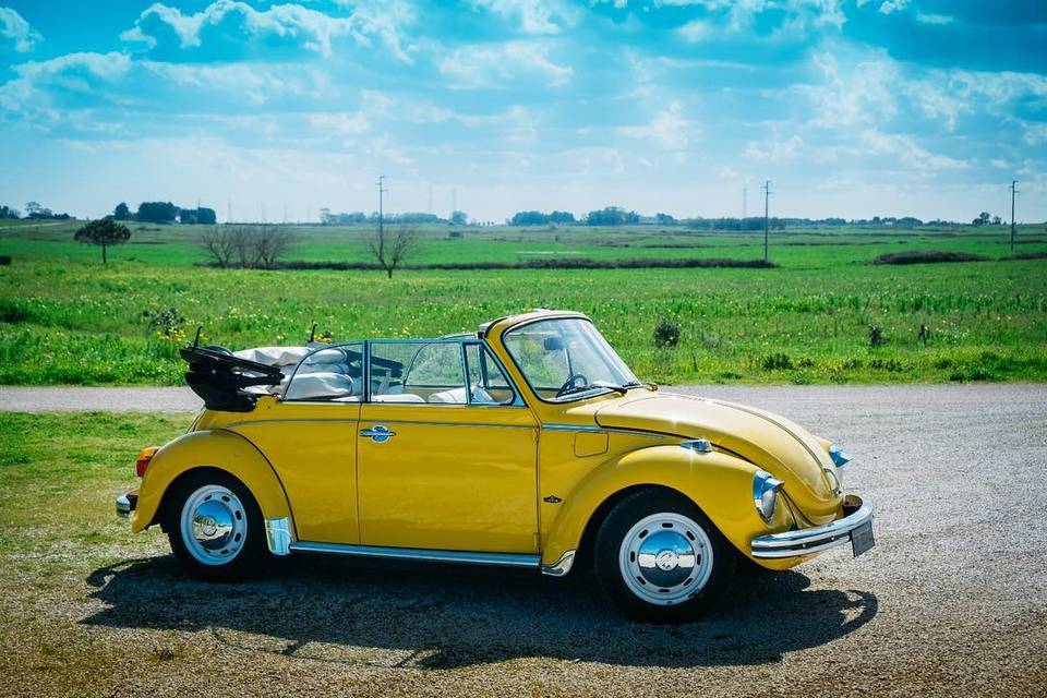 Maggiolone cabriolet