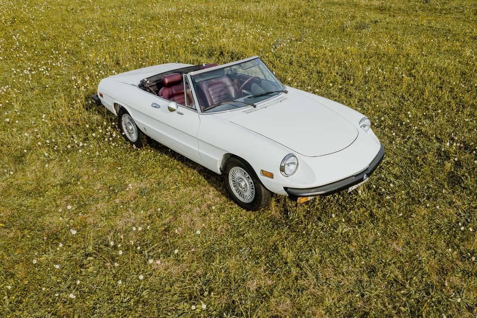 Alfa romeo spider duetto