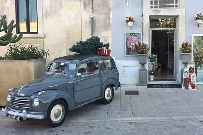 Fiat belvedere