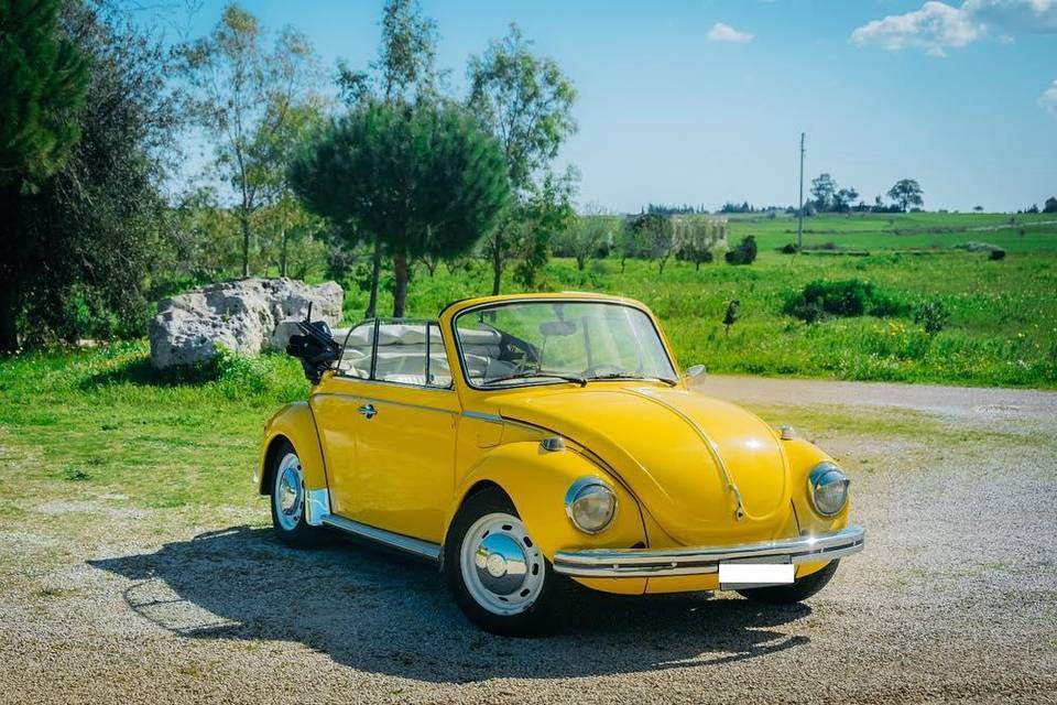 Maggiolone cabriolet